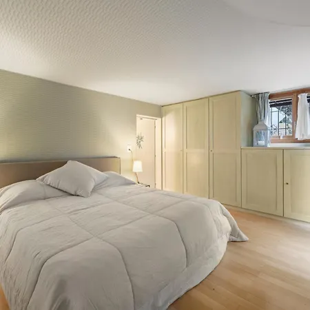 Tatil Evi Chesa Alvan - Surlej