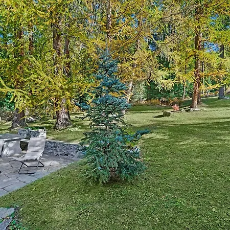 Casa de Férias Chesa Alvan - Surlej